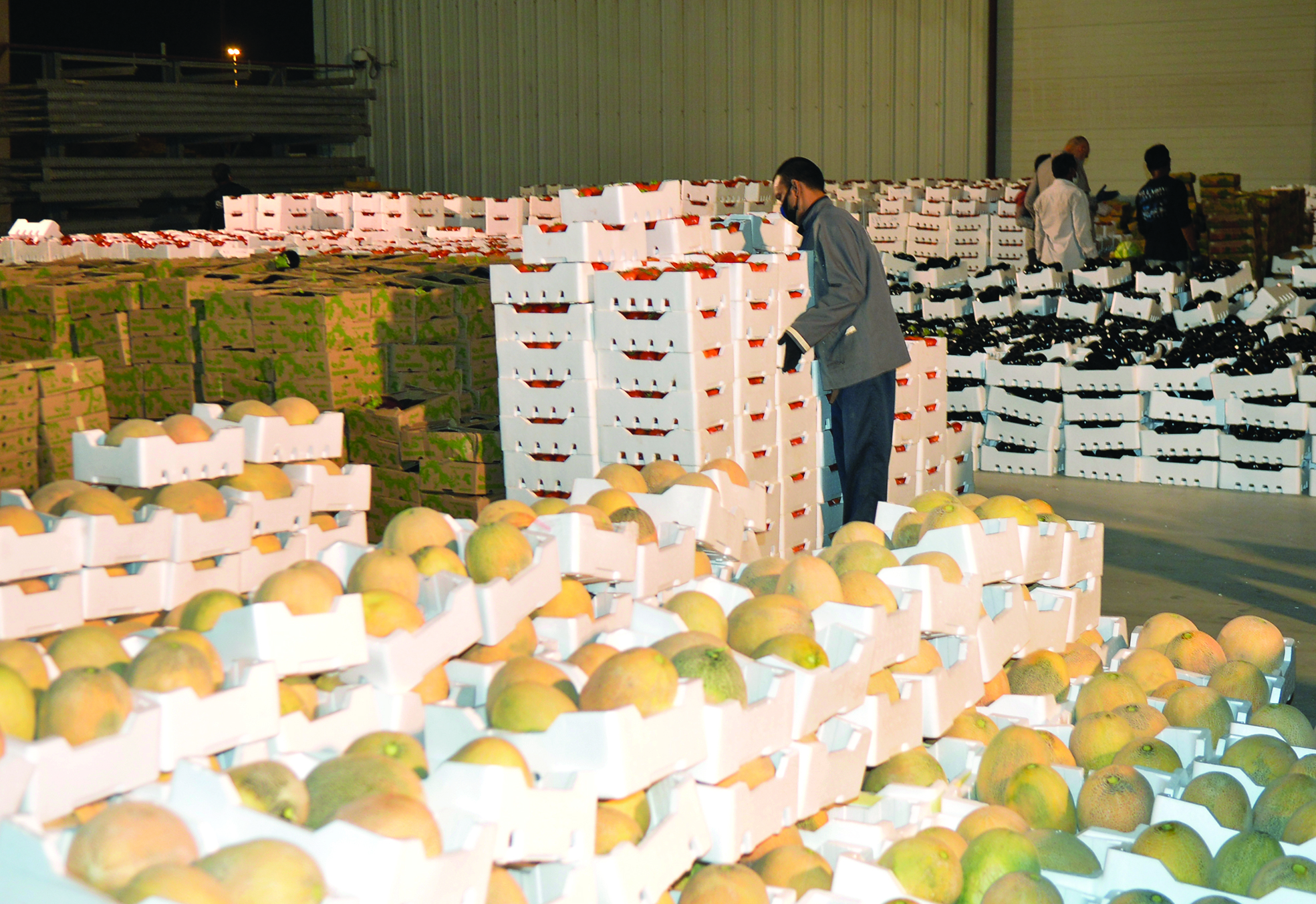 فواكه وخضراوات صيفية