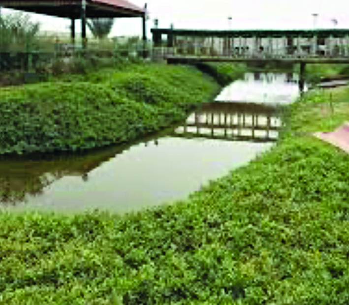 u0634u0627u0644u064au0647