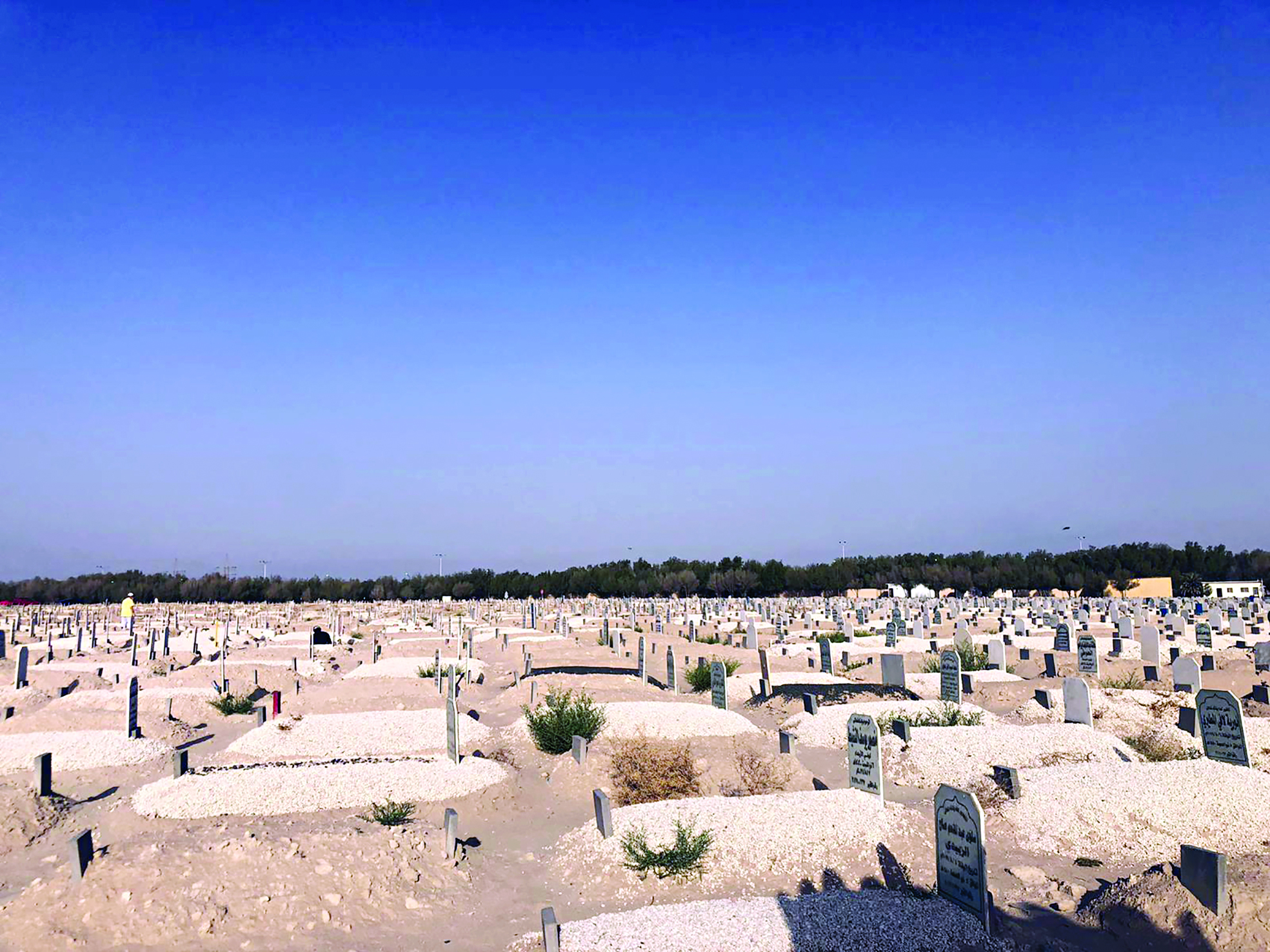 مقابر بلا زائرين