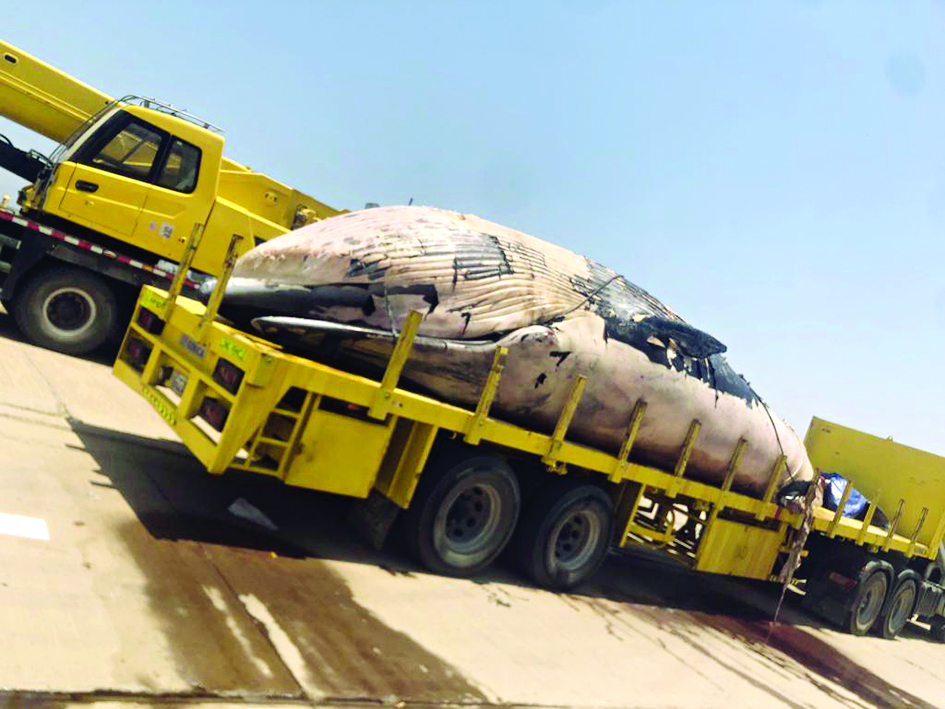 u0639u064fu062bu0631 u0639u0644u064au0647 u0646u0627u0641u0642u0627u064b u0648u062au0645 u0633u062du0628u0647