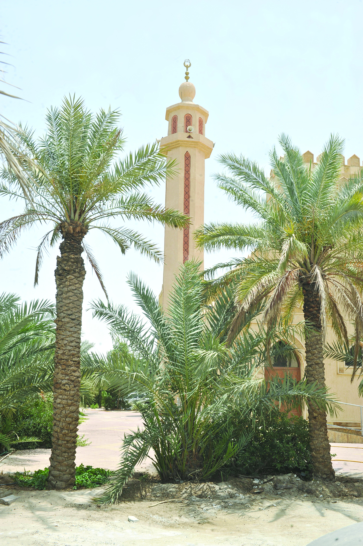 u0627u0644u0635u0645u062a u0627u0644u0630u064a u0641u0631u0636u0647 u00abu0643u0648u0631u0648u0646u0627u00bb u0647u0632u0645u062au0647 u0623u0635u0648u0627u062a u0627u0644u0645u0624u0630u0646u064au0646      t    (u062au0635u0648u064au0631 u0633u0639u0648u062f u0633u0627u0644u0645)