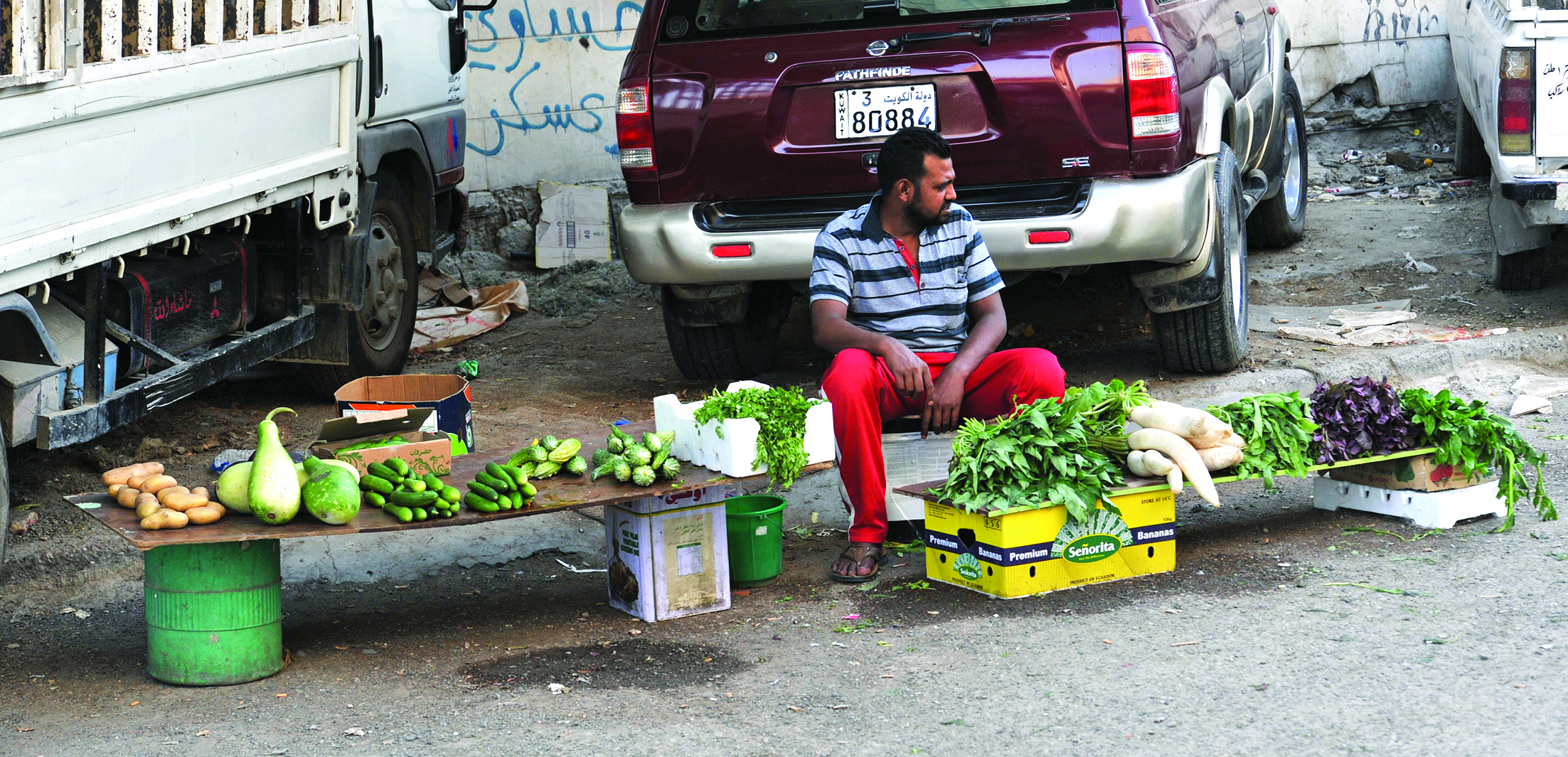 u062eu0636u0627u0631 u0644u0644u0628u064au0639 