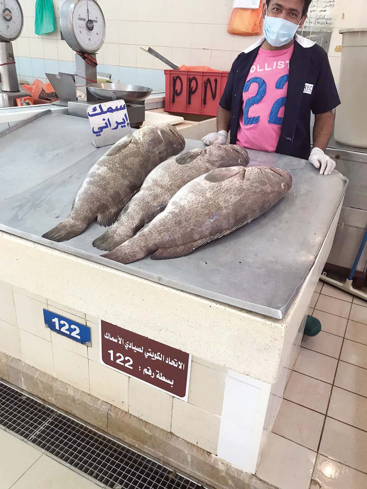 هامور إيراني