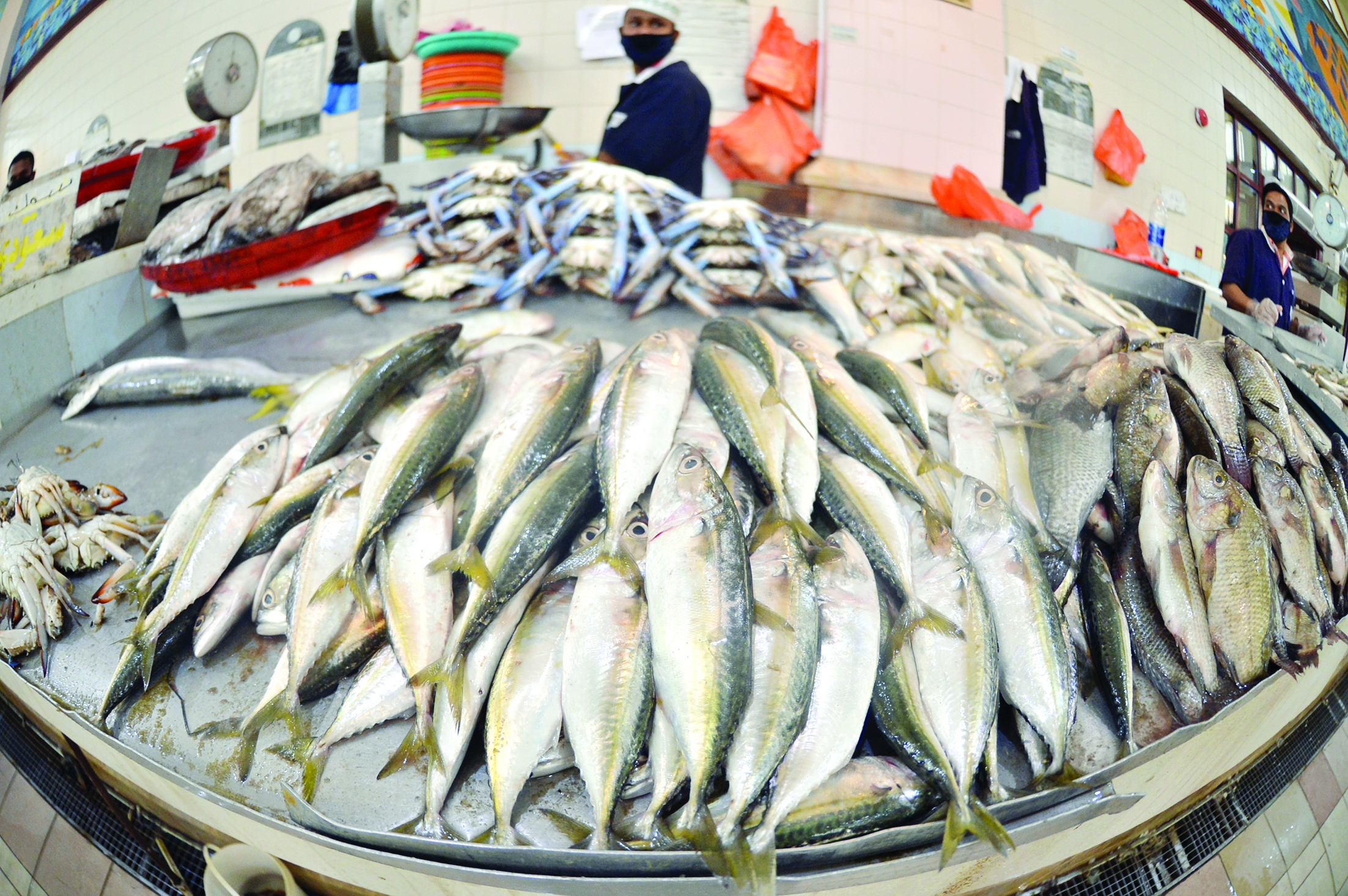 أسماك مستوردة