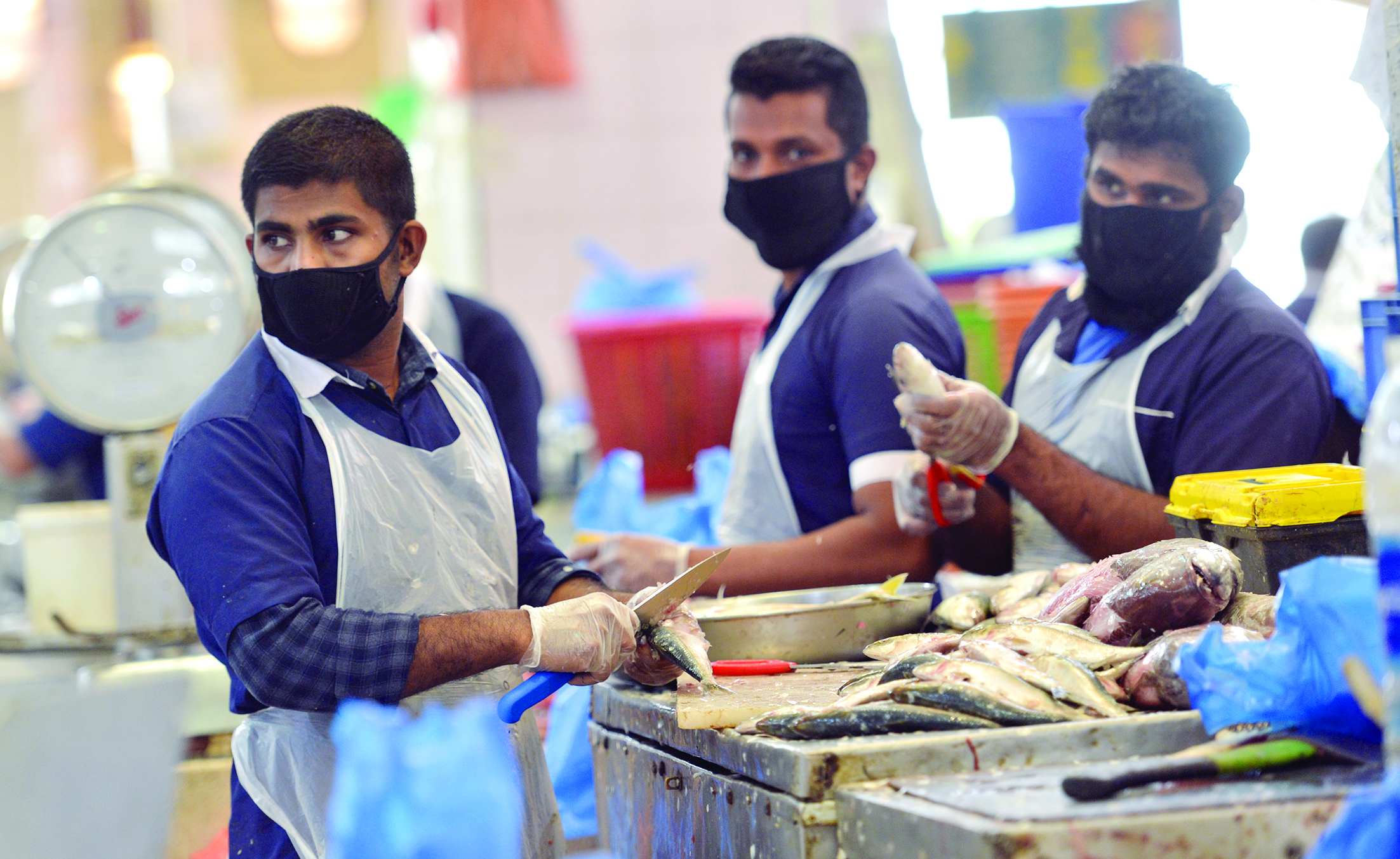 عمال ينظفون الأسماك