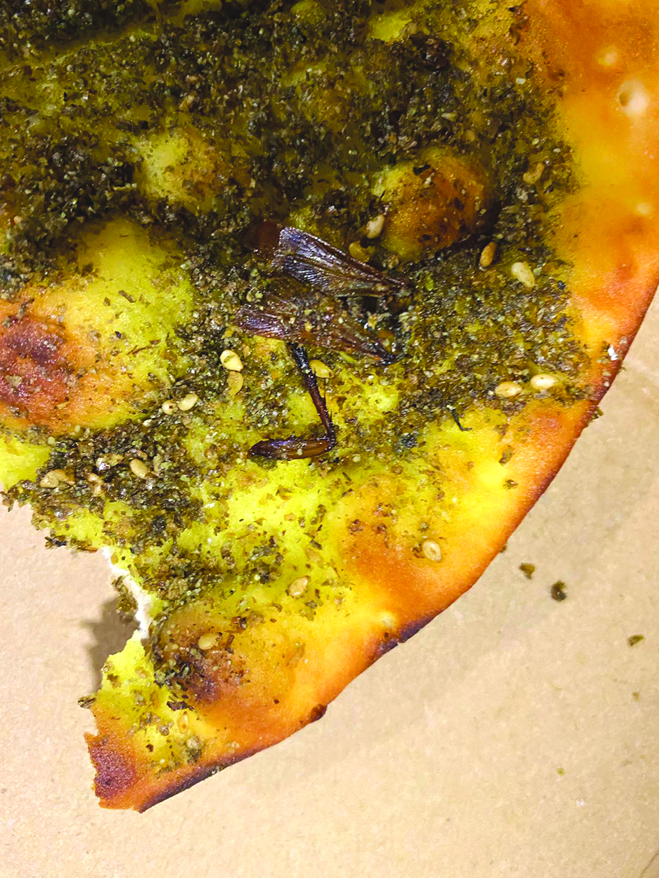 وجود حشرات بالمخبوزات عجّل بإغلاق المطعم