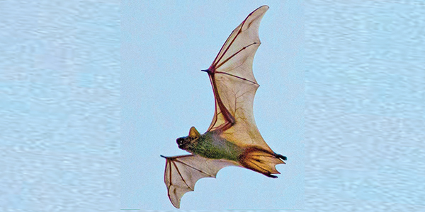 u062eu0641u0627u0634 u0639u0645u0645u062a u0635u0648u0631u062au0647 u0647u064au0626u0629 u0627u0644u0628u064au0626u0629 