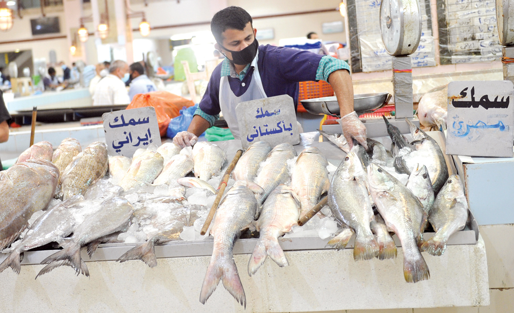 u0627u0644u0633u0645u0643 u0627u0644u0645u0633u062au0648u0631u062f u064au062au0633u064au0651u062f u0627u0644u0633u0648u0642 t(u062au0635u0648u064au0631 u0633u0639u0648u062f u0633u0627u0644u0645)