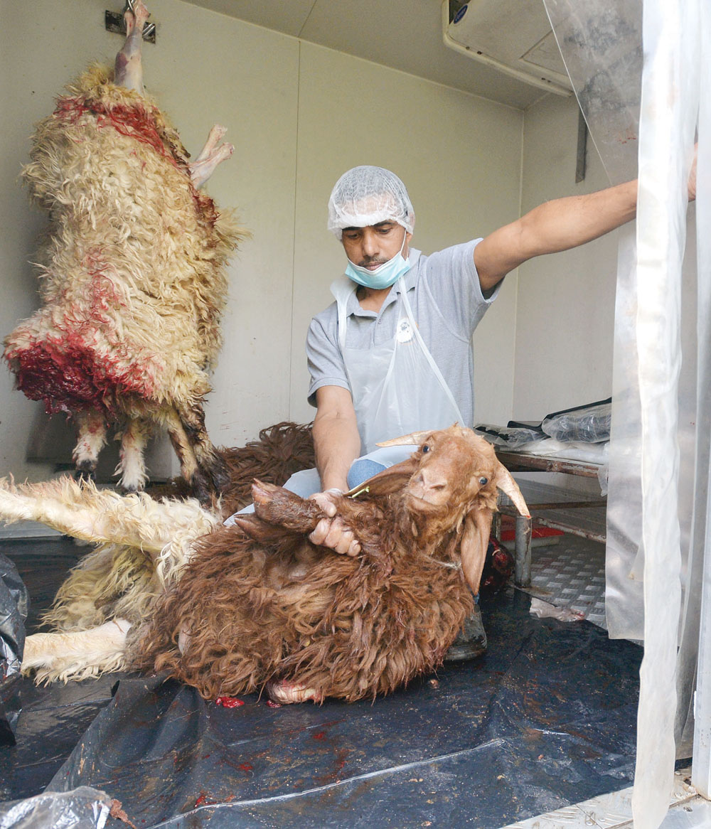 u0646u062du0631 u0627u0644u0646u0639u0627u064au0645 u062du0645u062fu0627u064b u0644u0644u0646u0639u0645 u0648u0635u062fu0642u0629 u0644u0644u0641u0642u0631u0627u0621         t                                              (u062au0635u0648u064au0631 u0623u0633u0639u062f u0639u0628u062fu0627u0644u0644u0647)