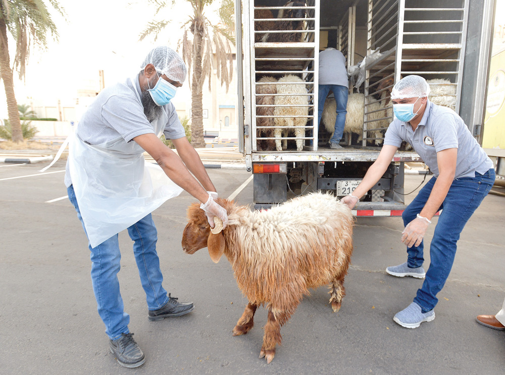 استعدادات للذبح