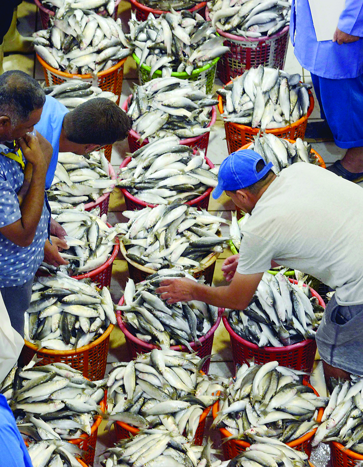 u0633u0644u0627u0644 u0627u0644u0645u064au062f u0633u062au0645u0644u0623 u0627u0644u0623u0633u0648u0627u0642 u0627u0644u064au0648u0645