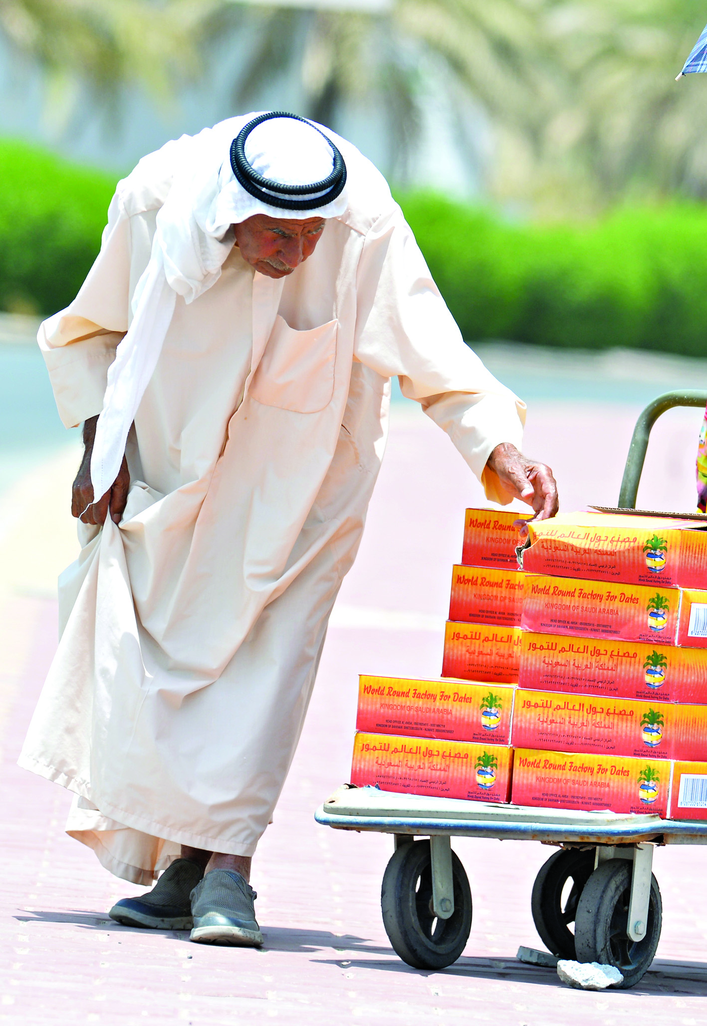 بائع التمور لا يعترف بخريف للعمل