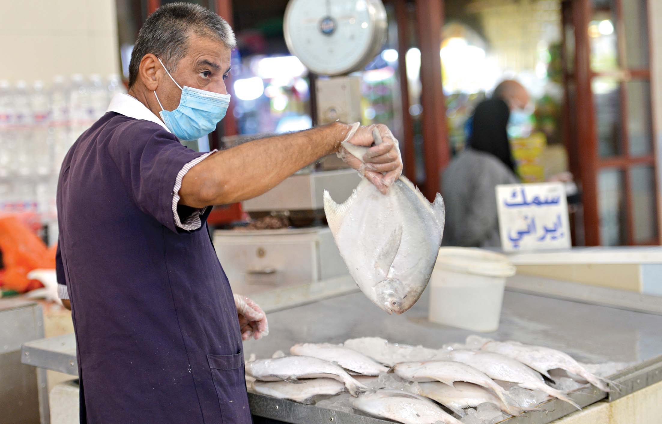 زبيدي إيراني