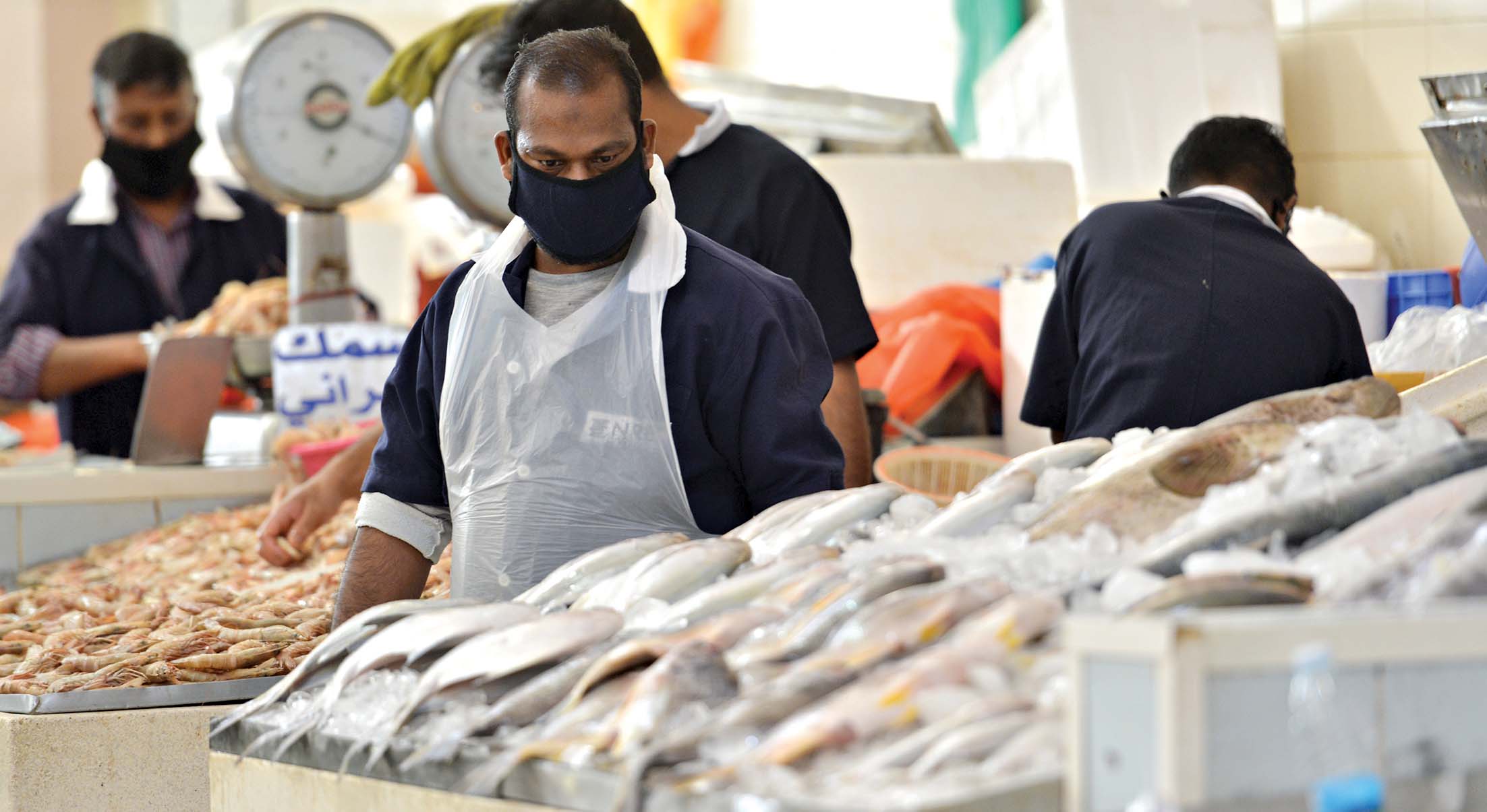 أسماك مستوردة 