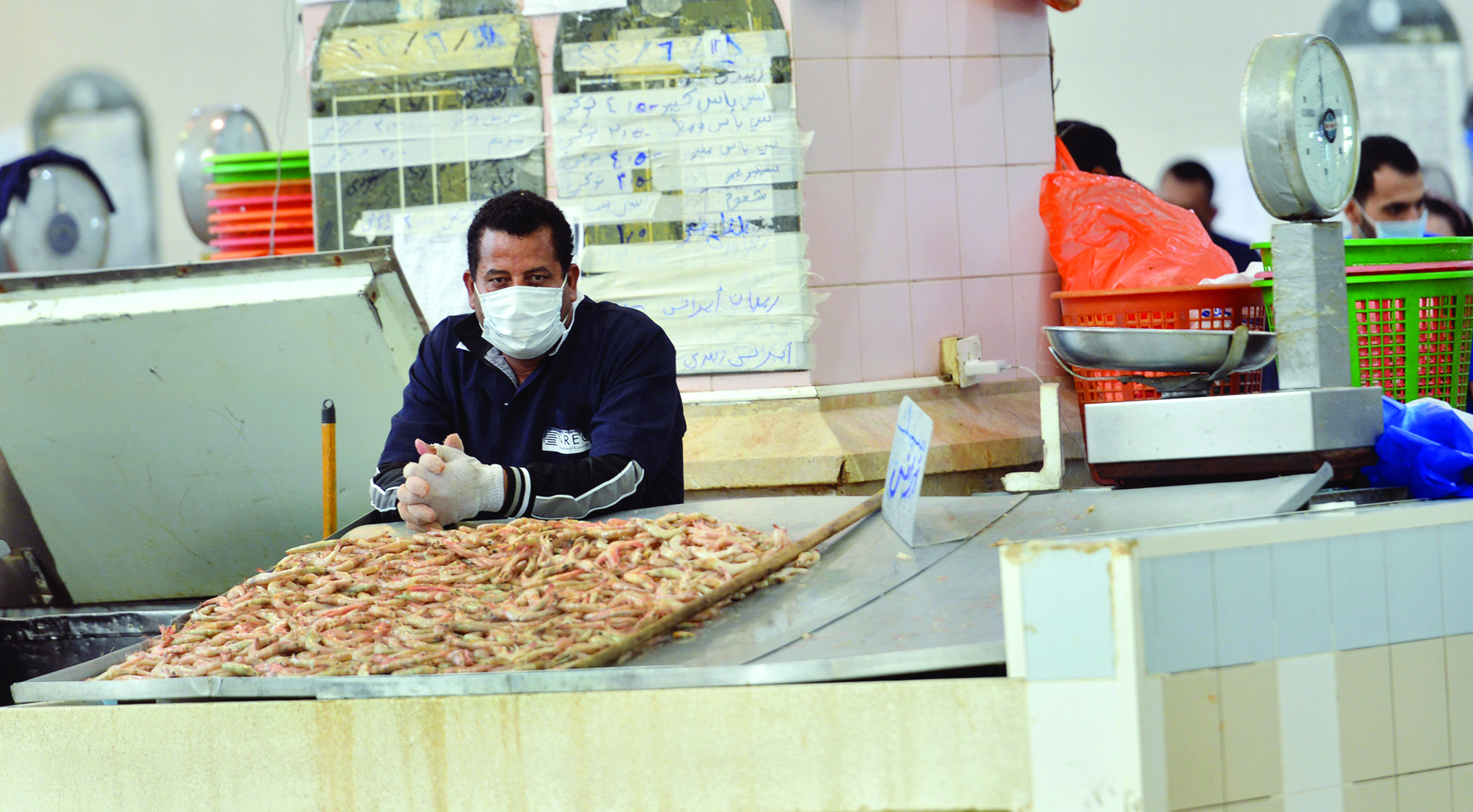 u0628u0633u0637u0629 u0641u0627u0631u063au0629 u0648u0623u062eu0631u0649 u0644u0644u0631u0648u0628u064au0627u0646t (u062au0635u0648u064au0631 u0646u0627u064au0641 u0627u0644u0639u0642u0644u0629) 