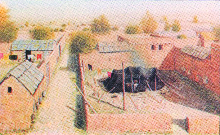 من سكيك حولي