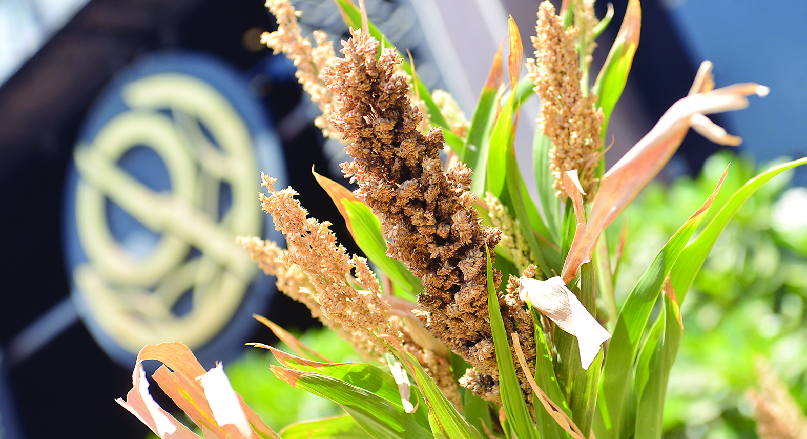 u0627u0644u0625u062fu0631u0627u062cu0627u062a u0633u062au0632u064au062f u0632u062eu0645 u0633u064au0648u0644u0629 u0627u0644u0628u0648u0631u0635u0629 t             (u062au0635u0648u064au0631 u0646u0627u064au0641 u0627u0644u0639u0642u0644u0629)