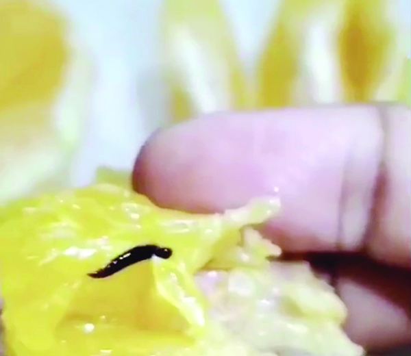 u0627u0644u062fu0648u062fu0629 u0643u0645u0627 u0638u0647u0631u062a u0641u064a u0627u0644u0645u0642u0637u0639 u0627u0644u0645u0635u0648u0651u0631