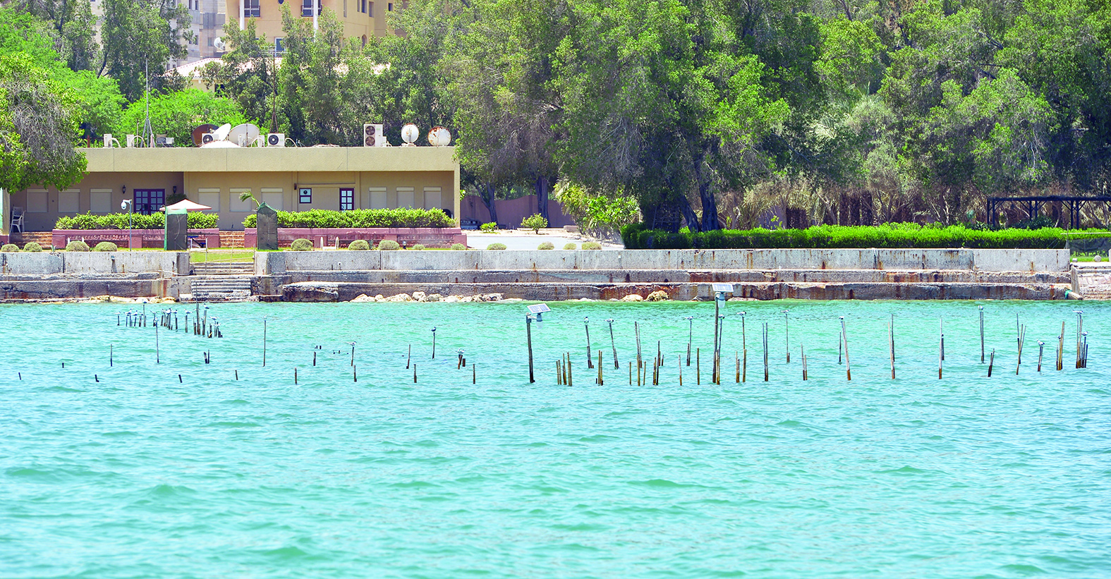 u00abu0627u0644u062du0638u0648u0631u00bb... u0648u062cu0648u062f u063au064au0631 u0642u0627u0646u0648u0646u064a u0628u0639u062f u0642u0631u0627u0631 u0625u0632u0627u0644u062au0647u0627 t(u062au0635u0648u064au0631 u0623u0633u0639u062f u0639u0628u062fu0627u0644u0644u0647)