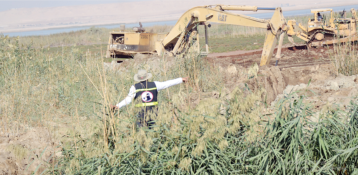 بعض الرعاة يحرقون القصب ويسببون تلوثاً 