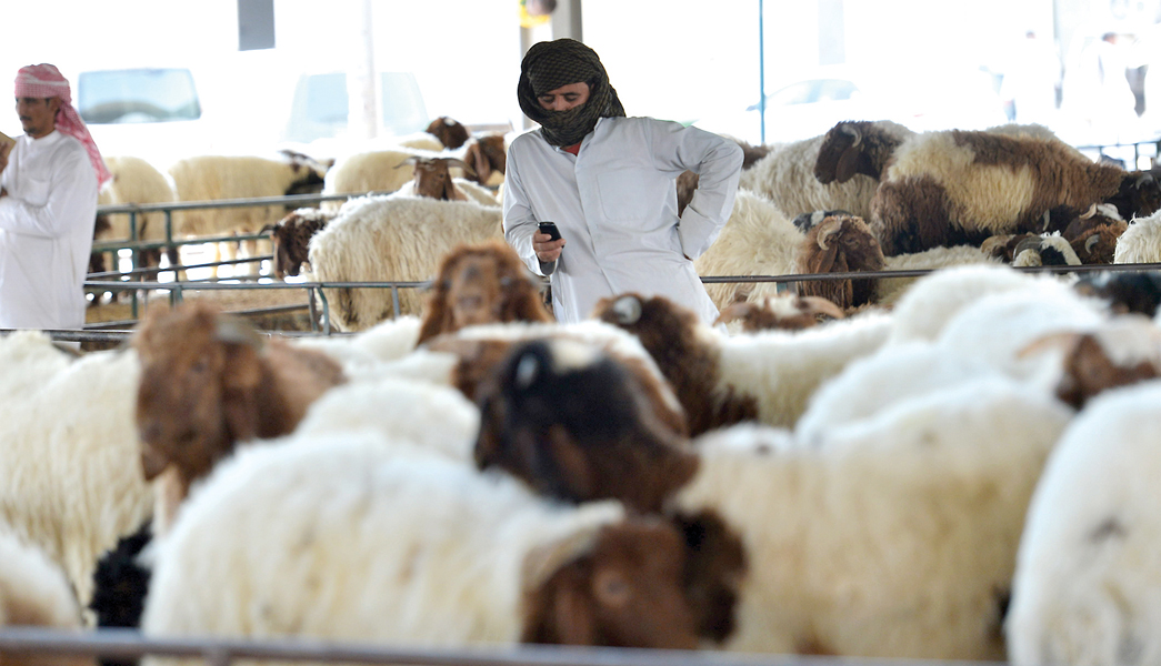 u0641u064a u0627u0646u062au0638u0627u0631 u0627u0644u0645u0636u062du064au0646       t (u062au0635u0648u064au0631 u0646u0627u064au0641 u0627u0644u0639u0642u0644u0629)