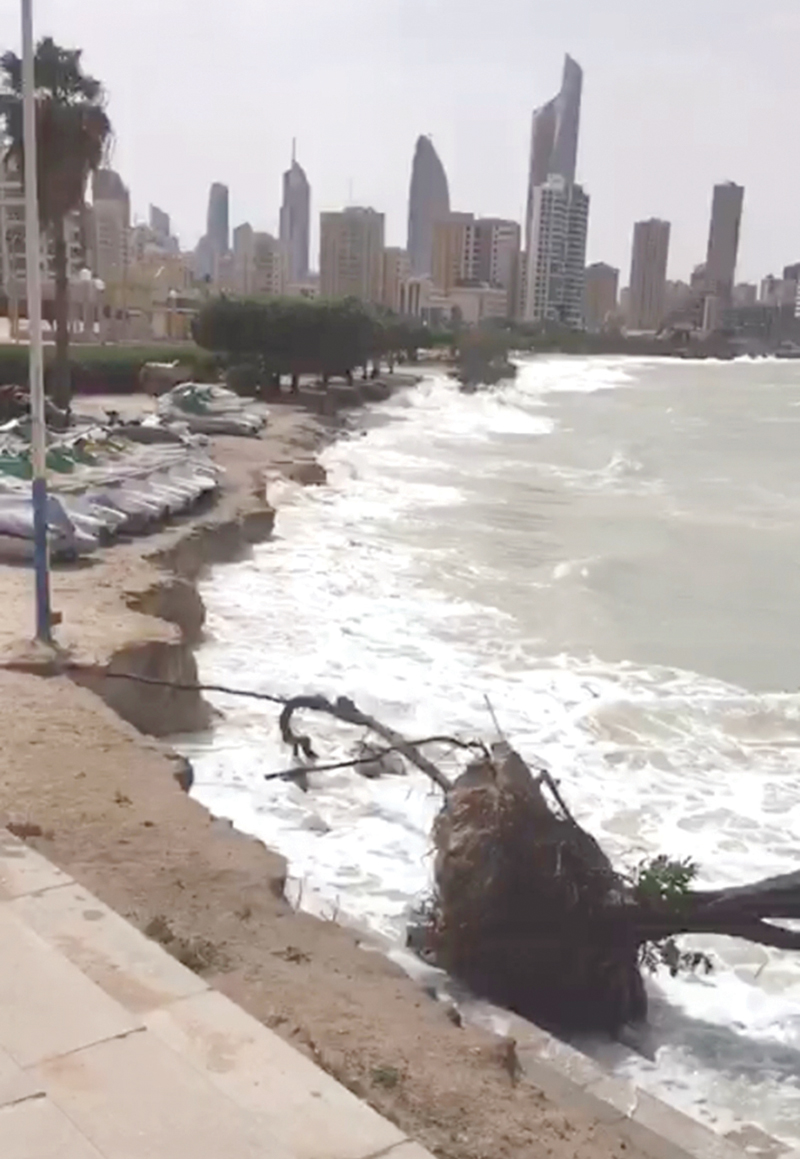 ارتفاع الأمواج أدى لاقتلاع بعض الأشجار