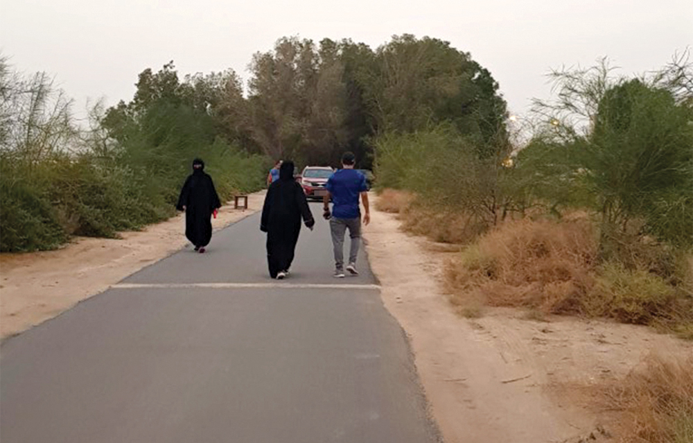 الممشى أصبح طريقاً