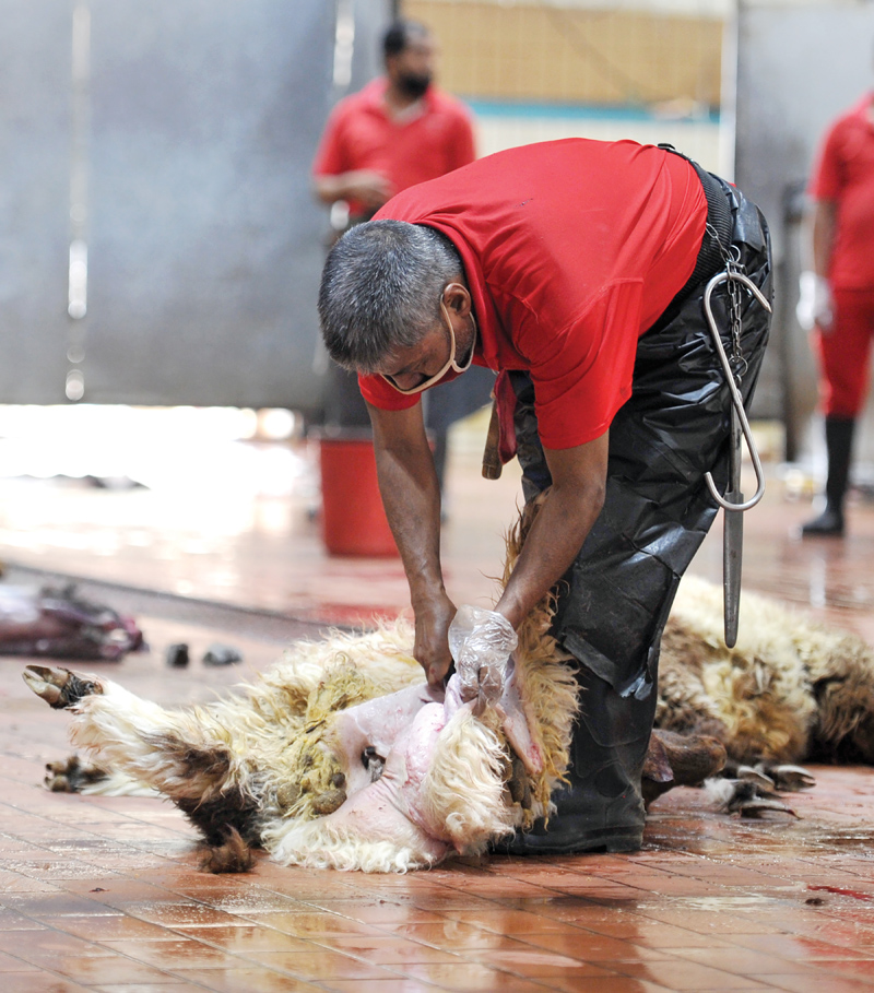 سلخ إحدى الذبائح