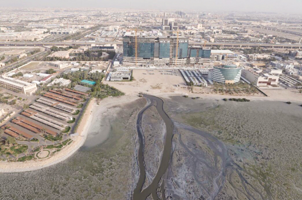 u0645u0635u0628u0627u062a u0627u0644u0635u0631u0641 u0627u0644u0635u062du064a u062au0624u062bu0631 u0633u0644u0628u0627u064b u0639u0644u0649 u0627u0644u0623u062du064au0627u0621 u0627u0644u0628u062du0631u064au0629 