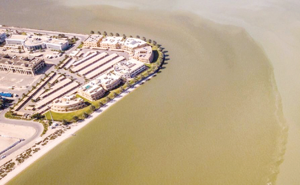  مسوحات شاملة أجرتها الهيئة 