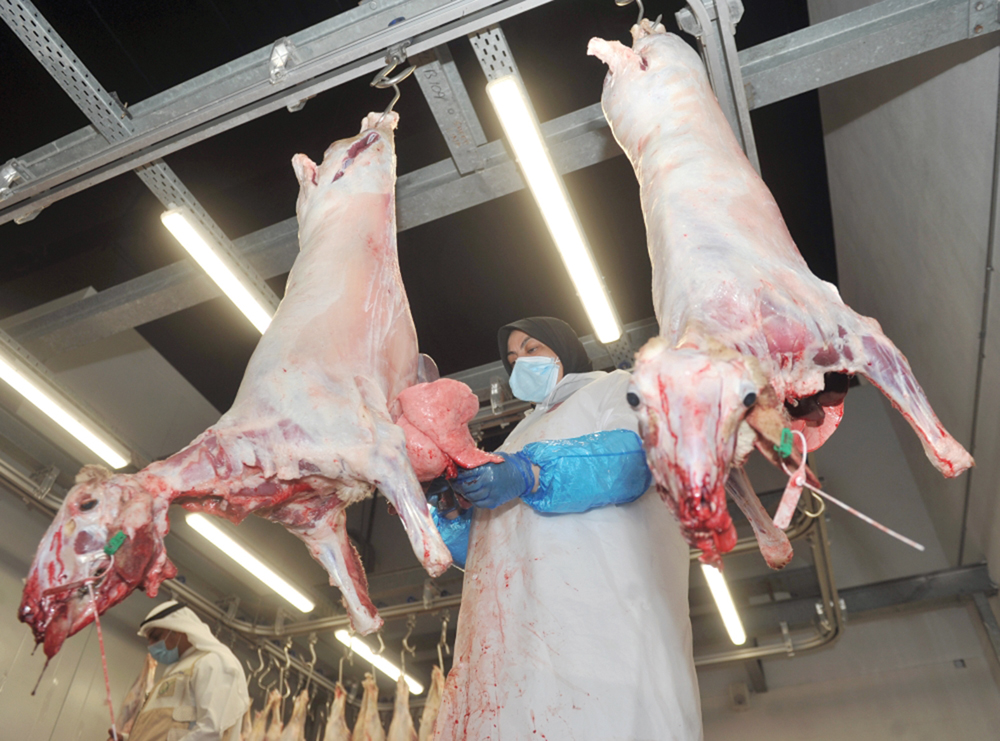 u0637u0628u064au0628u0629 u0628u064au0637u0631u064au0629 u062au062au0623u0643u062f u0645u0646 u0633u0644u0627u0645u0629 u0627u0644u0630u0628u0627u0626u062d                  t     (u062au0635u0648u064au0631 u0633u0639u0648u062f u0633u0627u0644u0645)