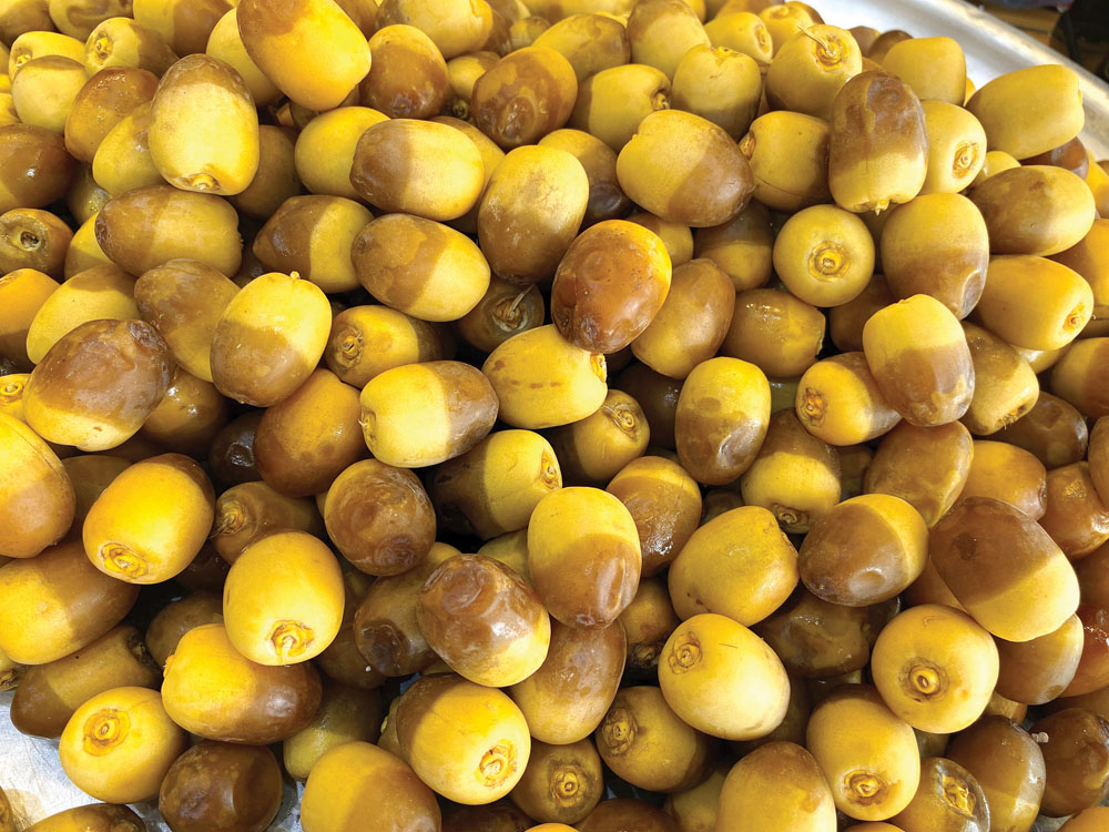 رطب حلو في موسمه