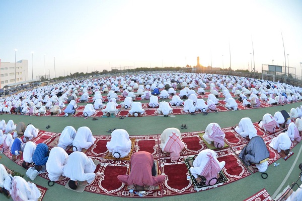 تصوير نايف العقلة