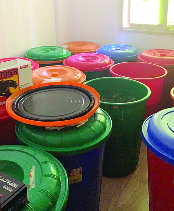 براميل معبأة بالخمور