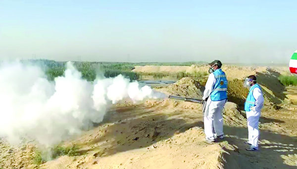 تعقيم وترقيع 