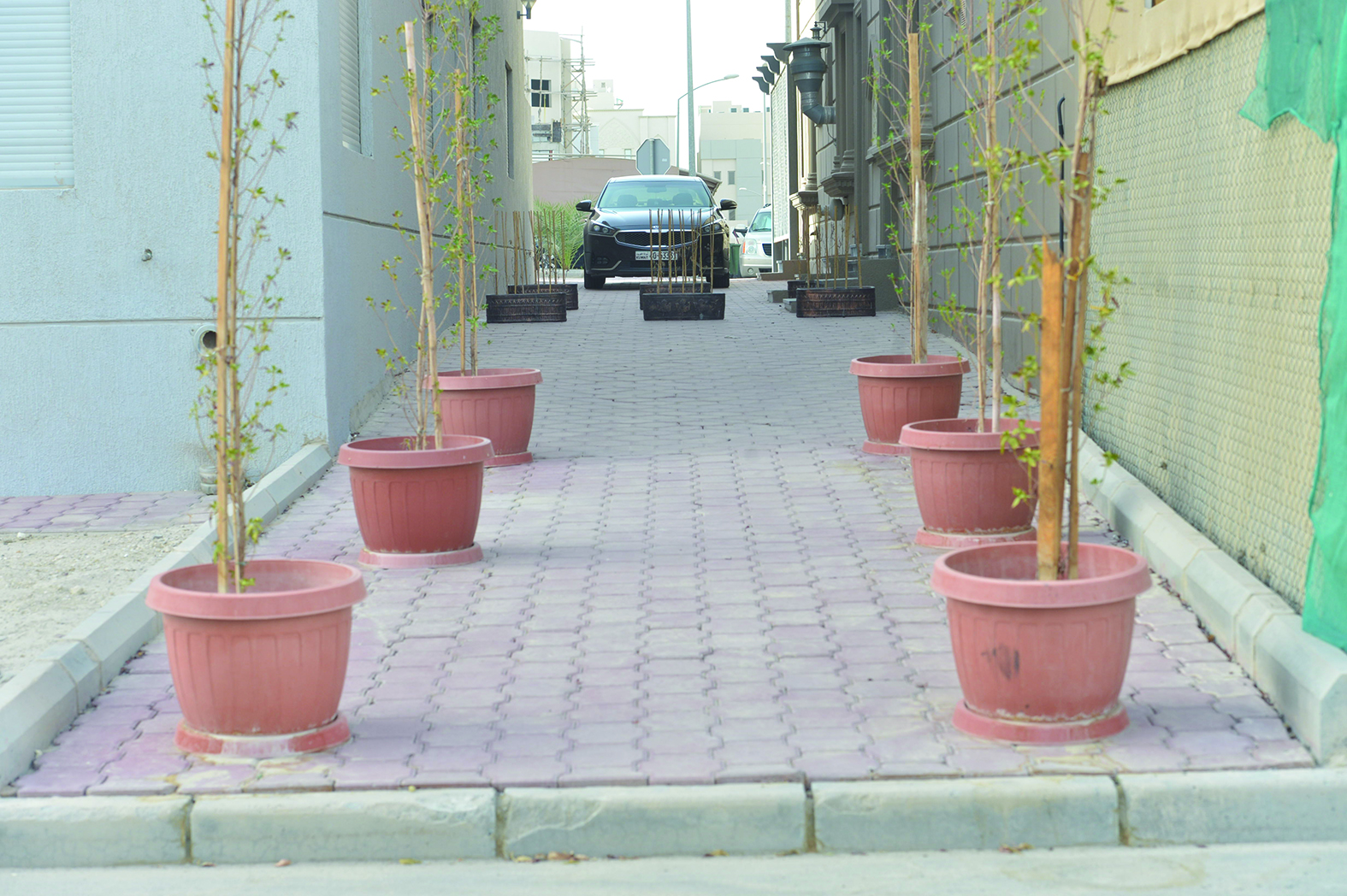 u0645u0645u0631 u0628u064au0646 u0645u0646u0632u0644u064au0646 u062au0645 u0625u063au0644u0627u0642u0647  u0628u0627u0644u0623u0634u062cu0627u0631                       t   (u062au0635u0648u064au0631 u0646u0627u064au0641 u0627u0644u0639u0642u0644u0629)