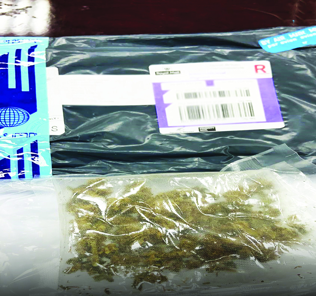 u0627u0644u0645u0636u0628u0648u0637u0627u062a