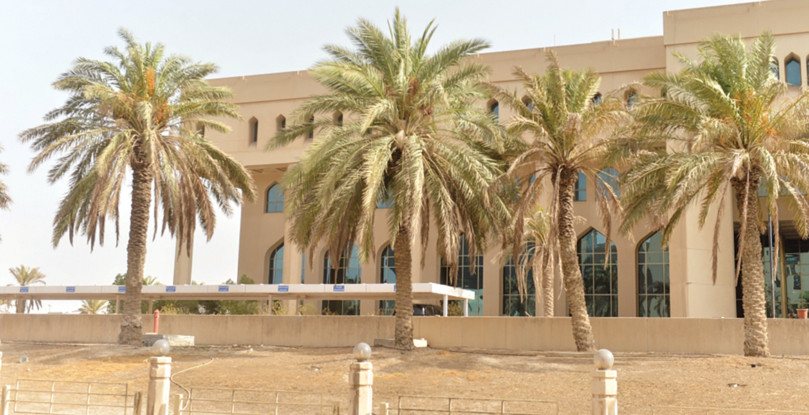 ناشطون يناشدون المسؤولين الاهتمام بأشجار النخيل في الجهات الحكومية     	    (تصوير سعود سالم)