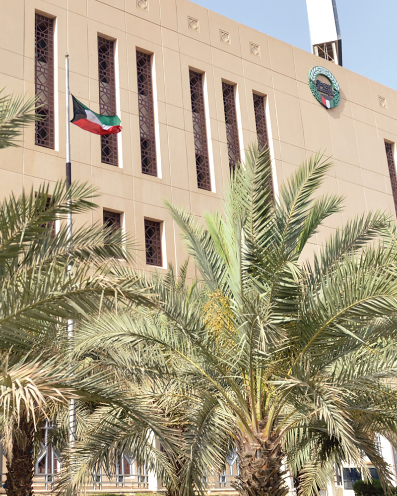 عائد اقتصادي كبير في حال تم الاهتمام بنخيل «الحكومة» 