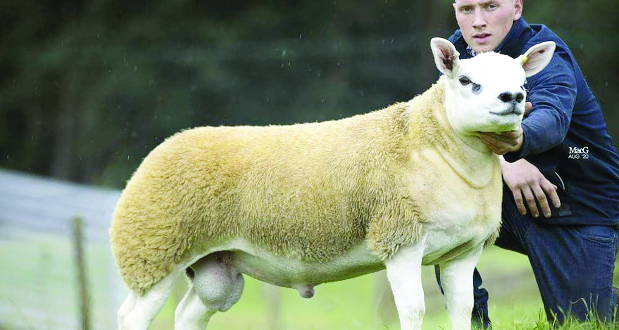 u0627u0644u062eu0631u0648u0641 u00abu0627u0644u0623u063au0644u0649u00bb u064au0628u0644u063a 6 u0623u0634u0647u0631