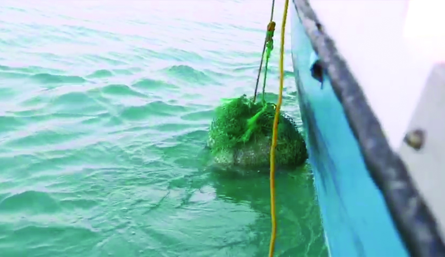 u0627u0646u062au0634u0627u0644 u0627u0644u0645u062eu062fu0631u0627u062a u0645u0646 u0627u0644u0628u062du0631