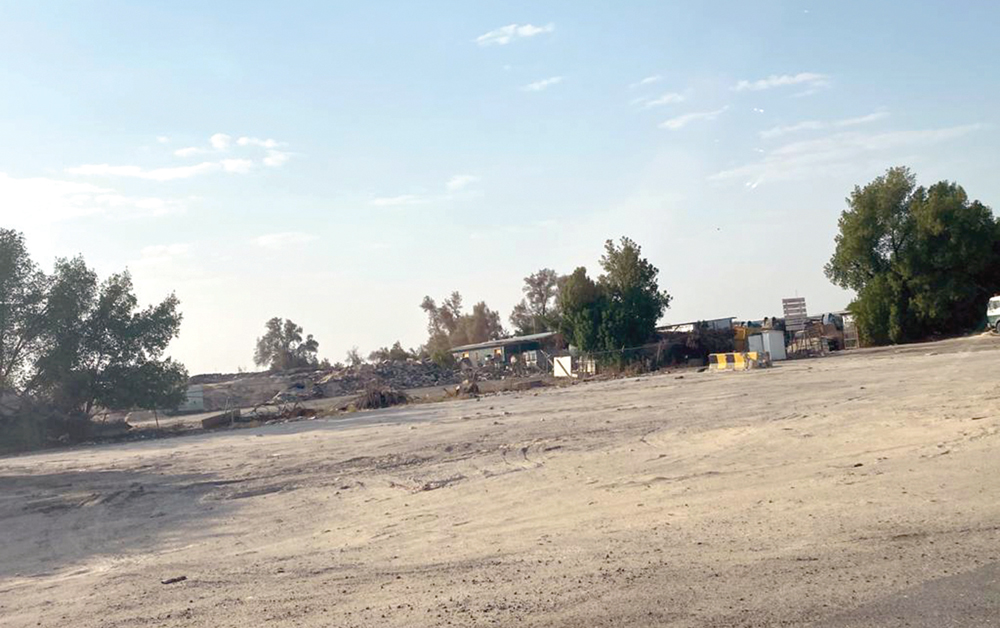 ساحات ترابية... ترتع بها الكلاب الضالة