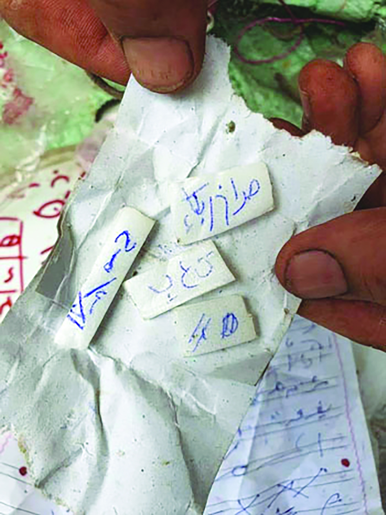 السحر يدمّر البيوت 