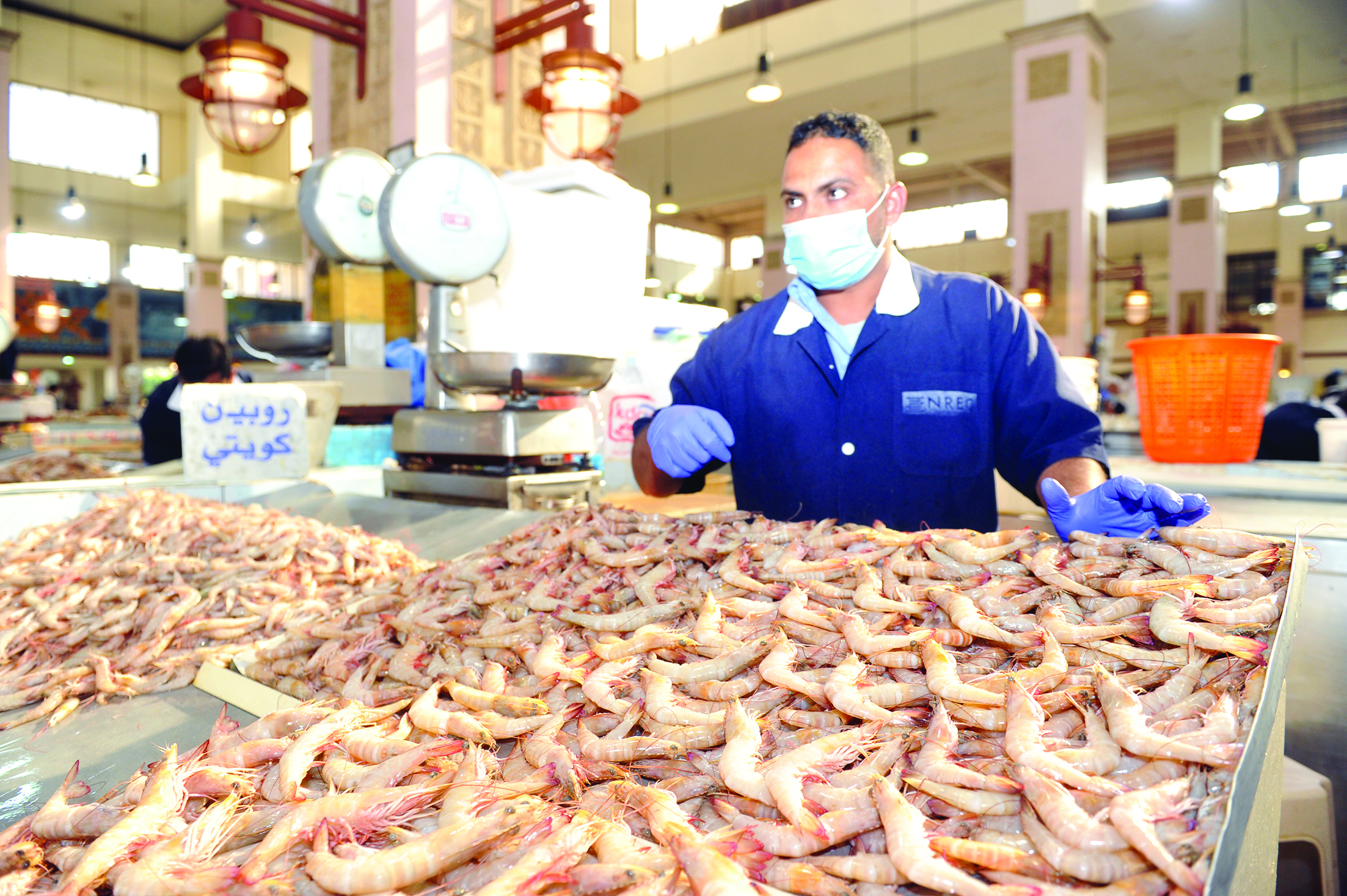 روبيان محلي... جامبو