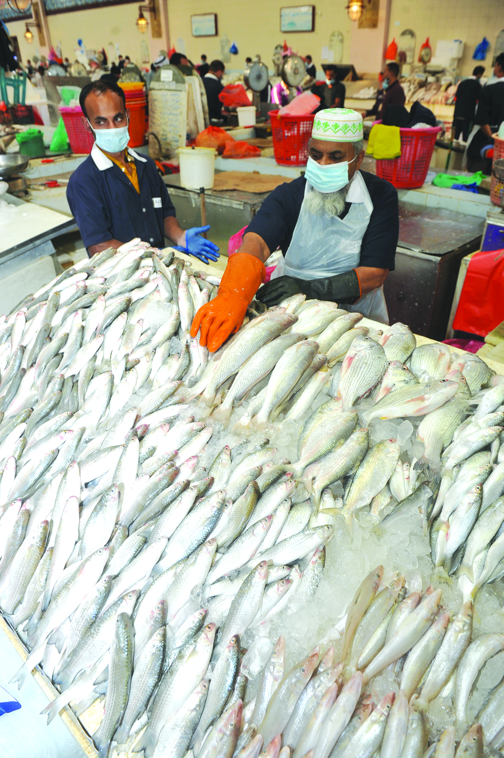 أسماك متنوعة محلية ومستوردة