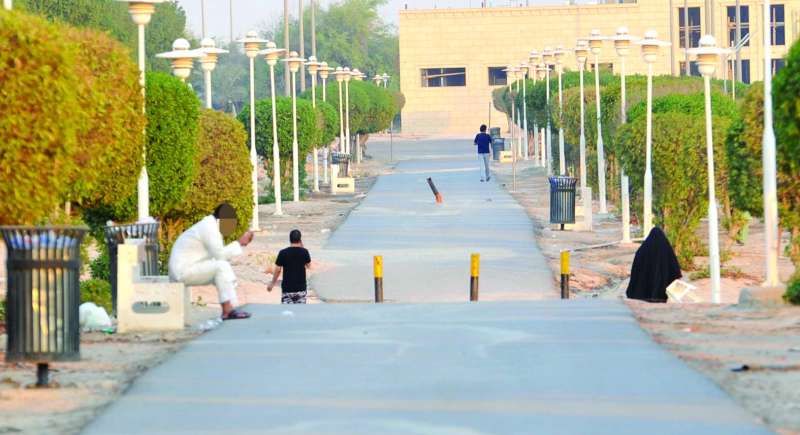 العزاب على قارعة الممشى 	 ( تصوير سعود سالم)