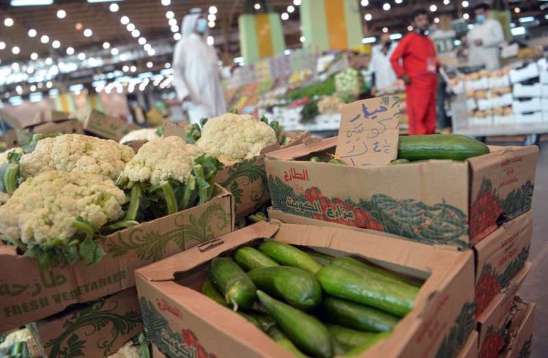 كرتون الخيار تجاوز سعره الدينار (تصوير نايف العقلة)