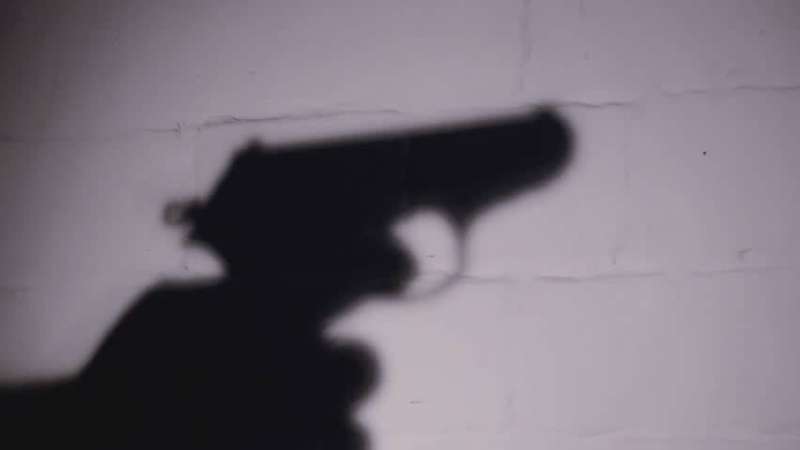 من أطلق النار في المشاجرة؟