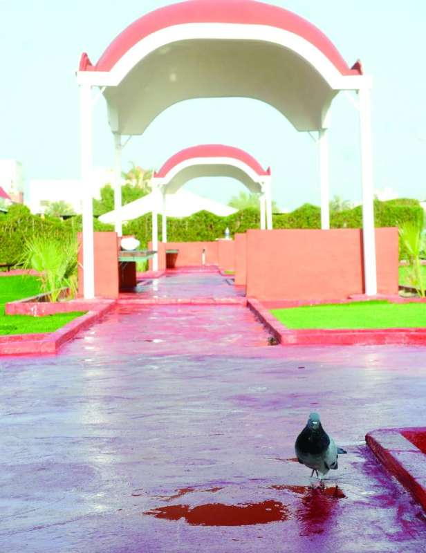 ممرات ملونة وحمامة وجدت جوّها في المكان