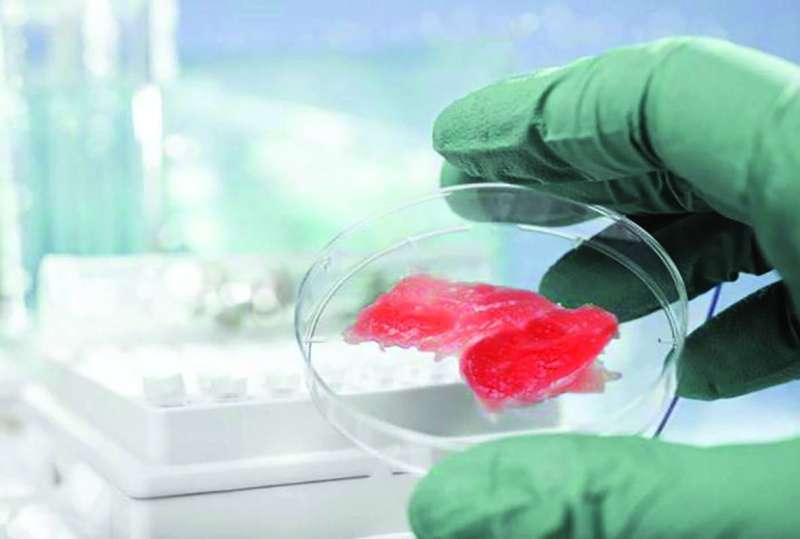 اللحم المزروع لا ينتج دجاجة كاملة